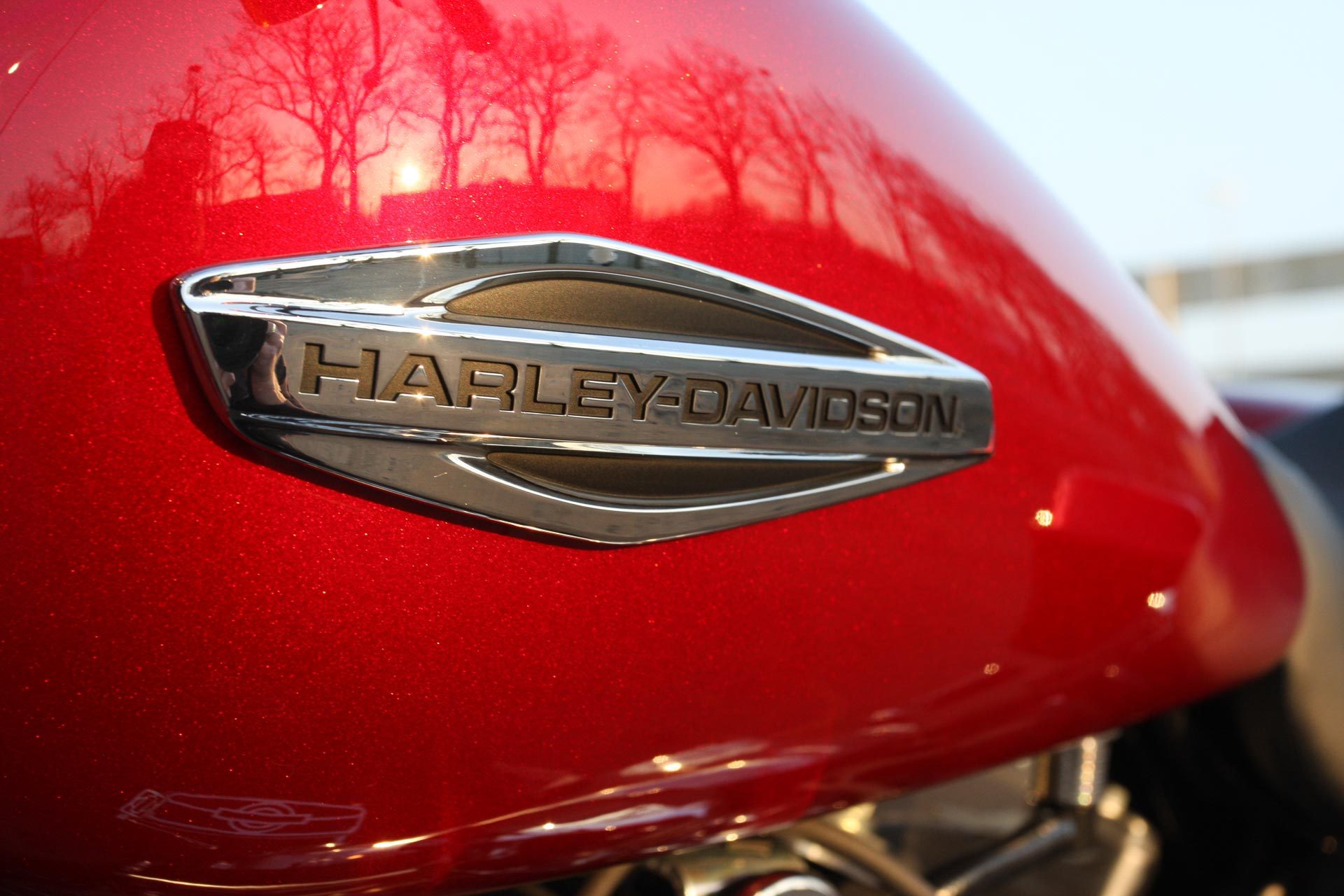 Thunderbike Switch Back Custombike Harley Davidson Gallery