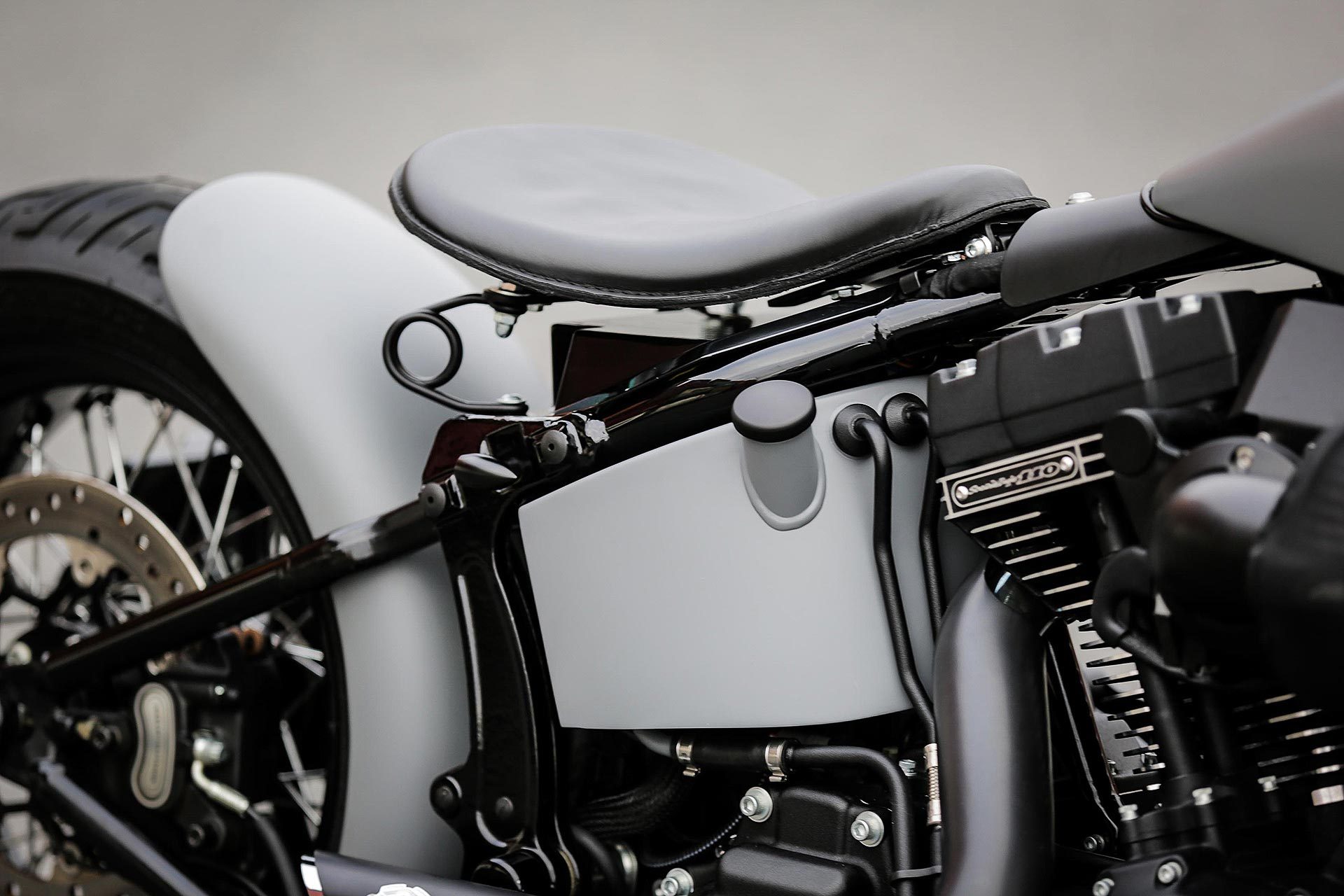 Thunderbike Naked Slim H D Softail Fls Custom Umbau