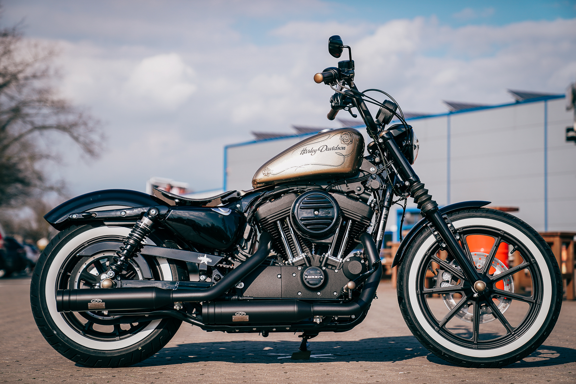 Thunderbike Goldie Harley Davidson Iron 1200 Sportster Umbau