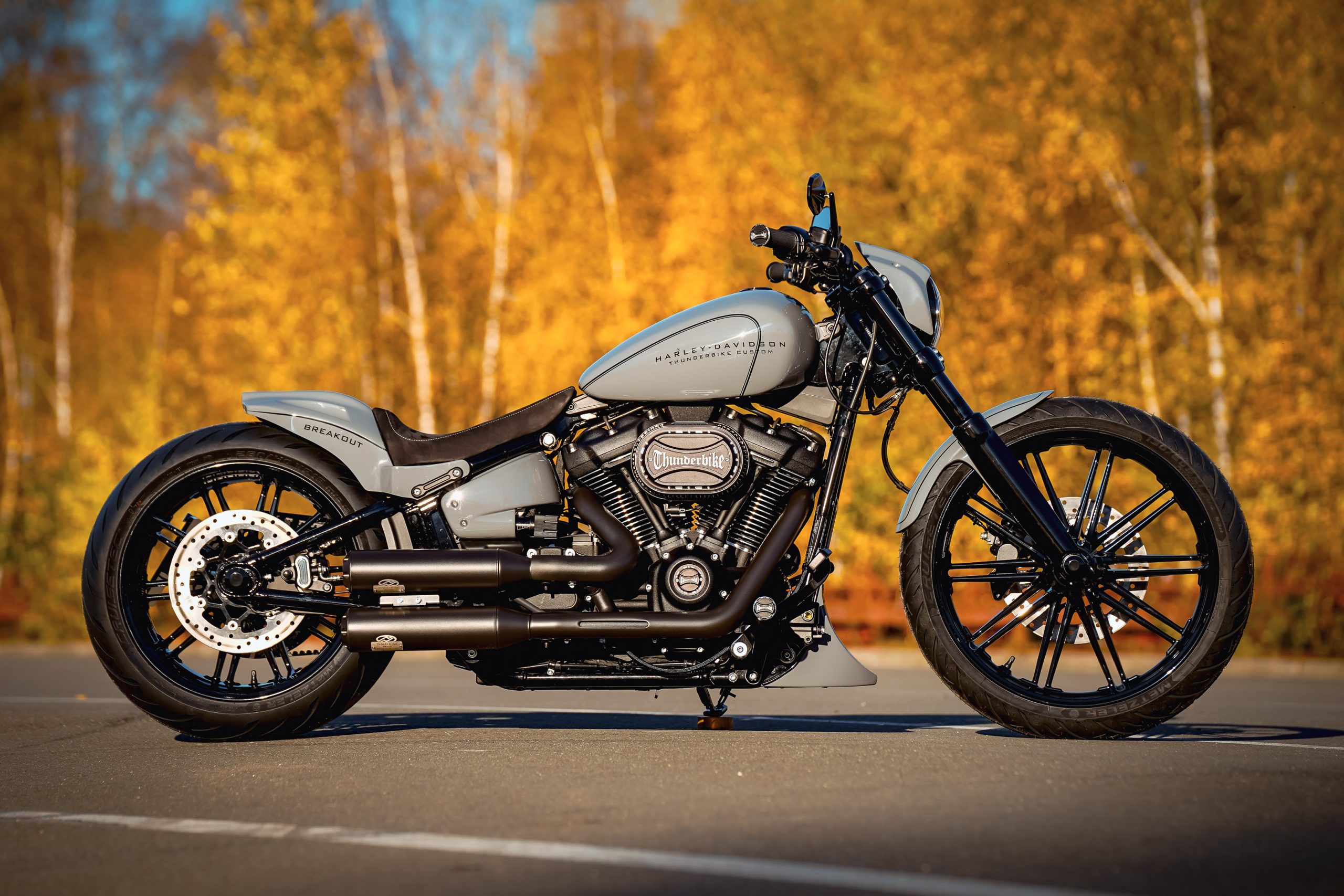 Thunderbike Greyhead Harley Davidson Breakout Fxbrs Umbau